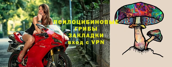 мяу мяу мука Алексеевка