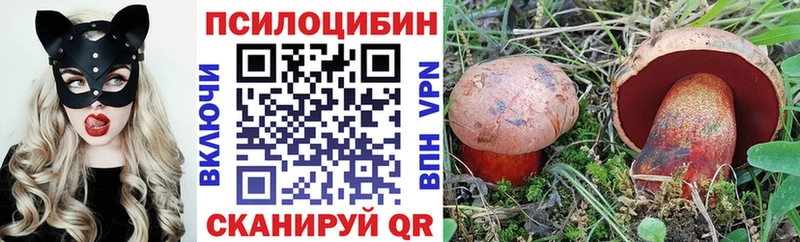 что такое наркотик kraken зеркало Галлюциногенные грибы Cubensis Сафоново